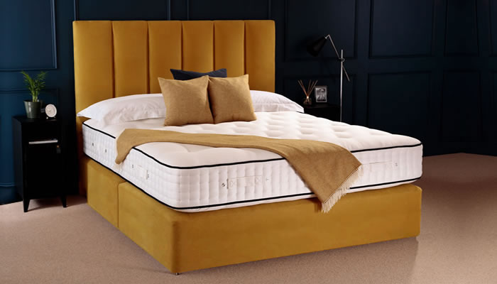 Enchanted House Beds Holland Divan Single